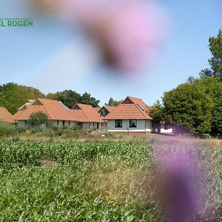 Jugendtours-Feriendorf Ummanz ภายนอก รูปภาพ